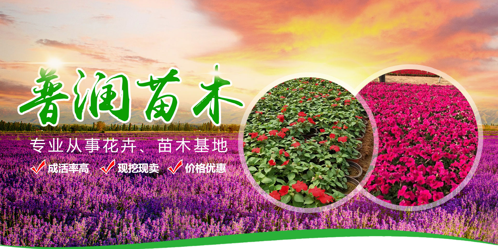 海天 讓環(huán)境更美麗